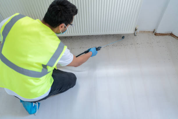 Best Fumigation Services  in Fishers, IN